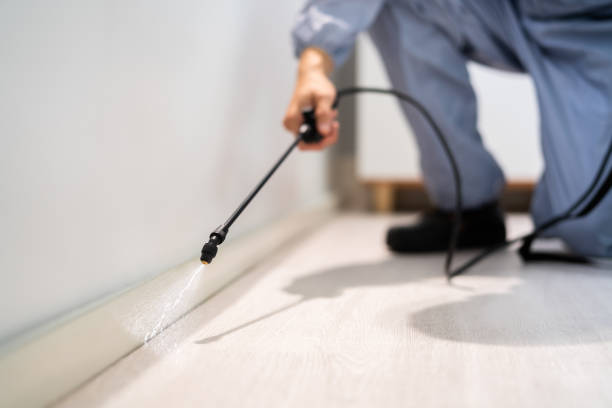 Certified termite inspector examining foundation in Lofall