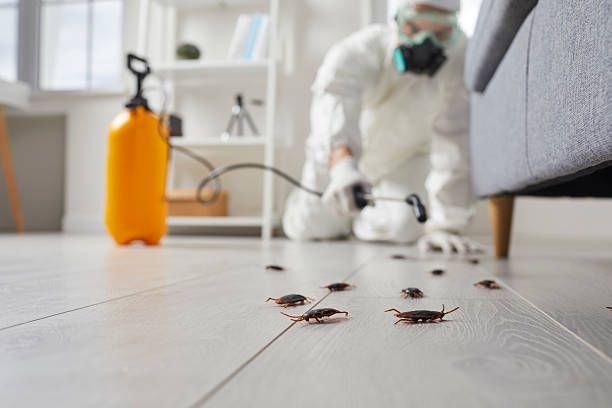 Commercial Kitchen Cockroach Control in Lofall